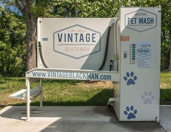Pet washing station